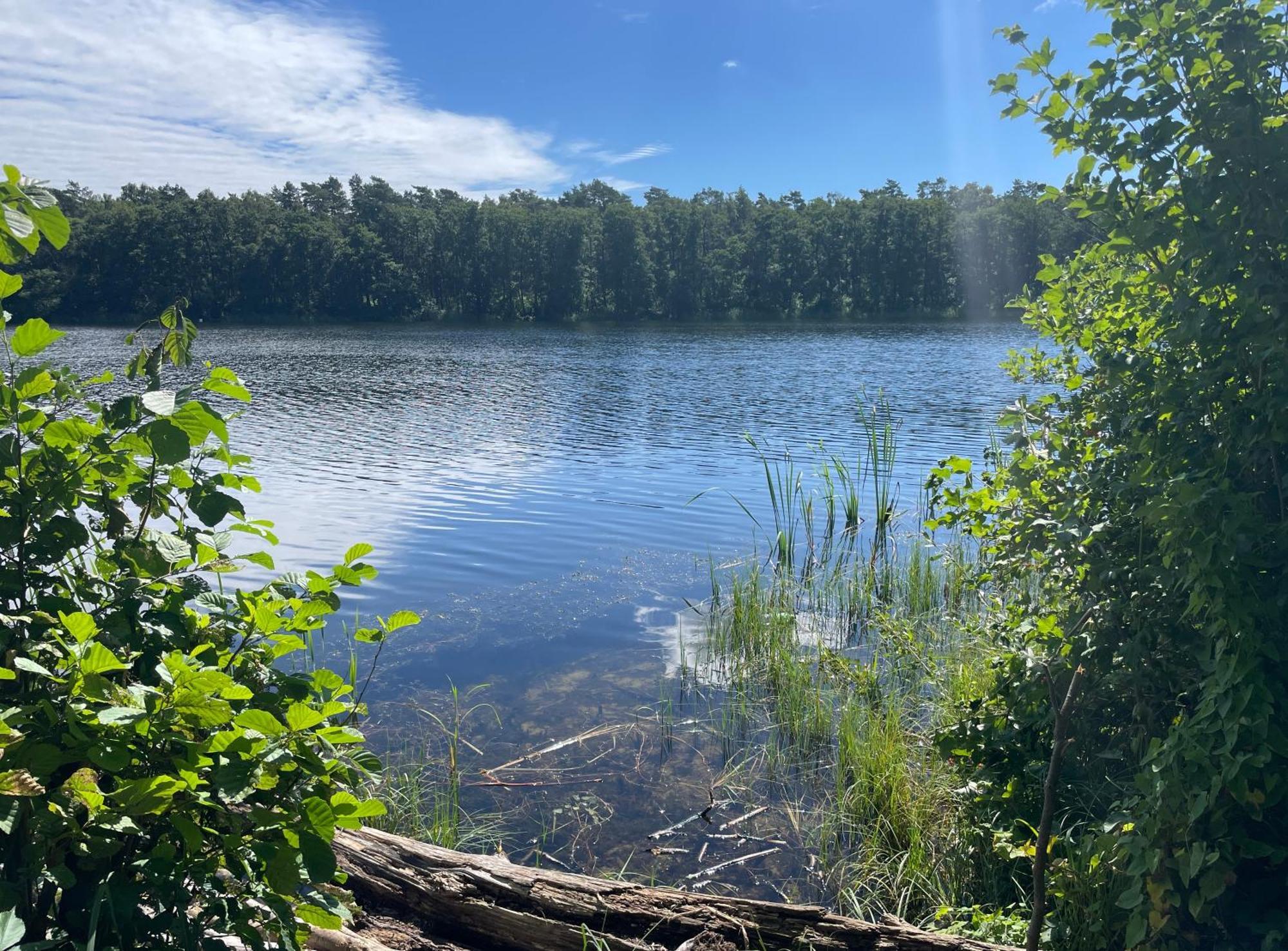 Ostseeperle - Pool, Sauna, 2 Bikes Dziwnów المظهر الخارجي الصورة